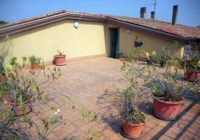 Albignasego. Porzione di casa con terrazzo abitabile di mq. 45