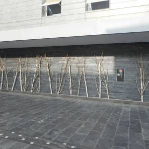 dettaglio parti comuni