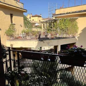 img_3490_copia_original