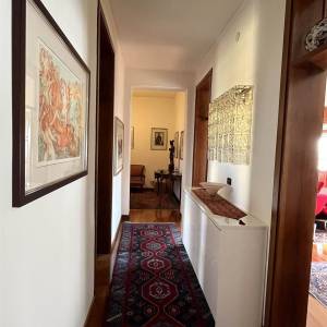 img_3495_copia_original