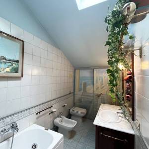 IMG_3691_copia_original